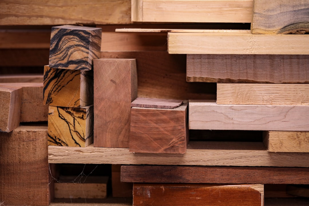 Échantillons de différentes essences de bois disposés côte à côte, montrant la variété des teintes et veines